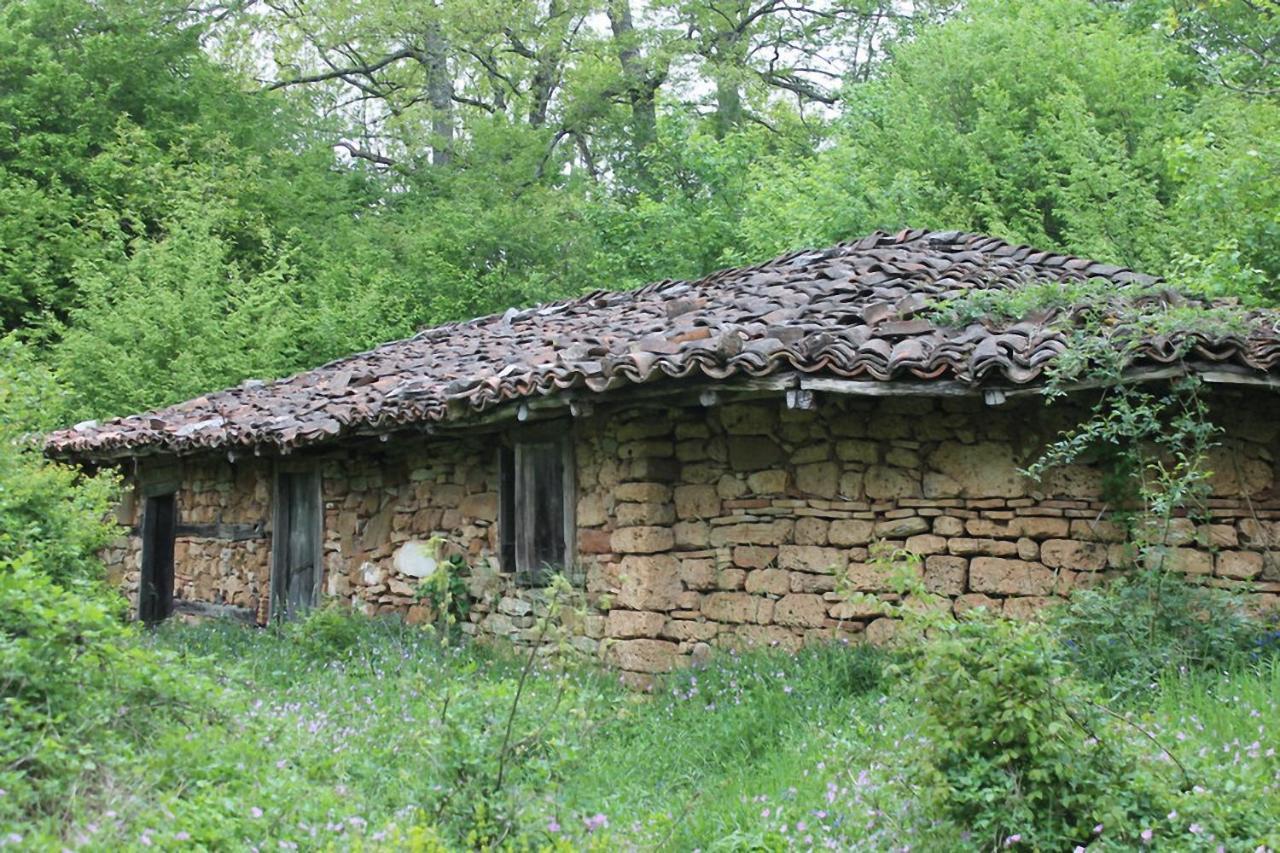 Hunting Residence Asteya Gramatikovo エクステリア 写真