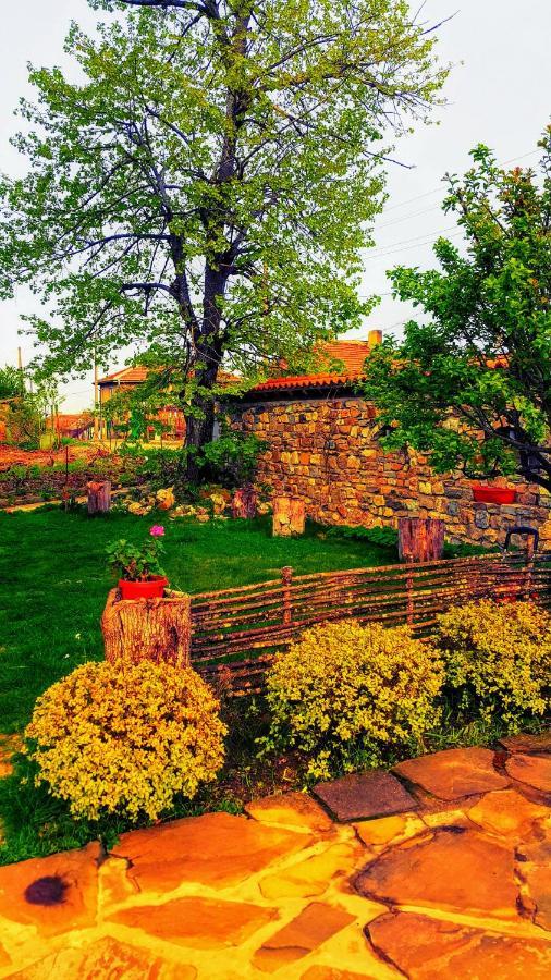 Hunting Residence Asteya Gramatikovo エクステリア 写真